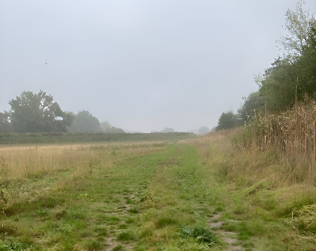 FHH Gebiet Deich Neustadt am Rübenberge