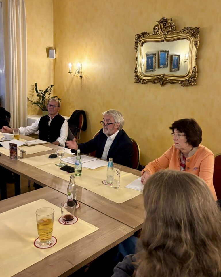 Grüne Neustadt thematisieren Gewalt gegen Frauen – Vortrag von Prof. Dr. Pohl über patriarchale Strukturen